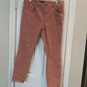 Ann Taylor colored denim jeans